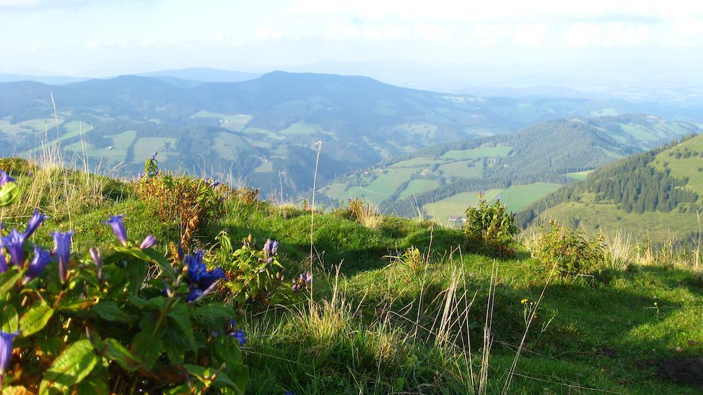 Gasthof Unterberger ซังคท์คาไทรน์ อัม ออฟเฟนเอก ภายนอก รูปภาพ